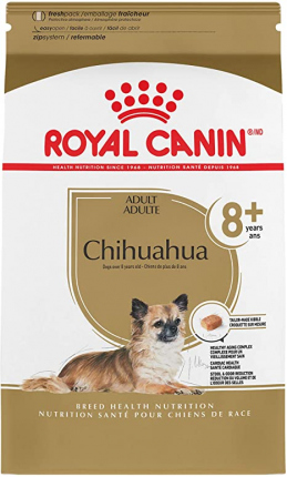 Chihuahua 8+