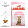 Kitten Sterilised 