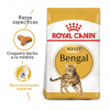 Bengalí 