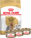 Royal Canin Combo Yorkshire Terrier Adult + Alimento Húmedo en Lata 3 latas + 1,13kg