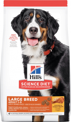 Science Diet Adult Large Breed