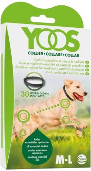 Collares para Perros