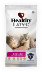 Healthy Love Gatos Cachorros
