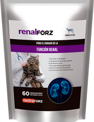 Renalforz Felino Para Gato
