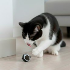 Catnip Juguete para Gatos