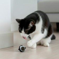 Catnip Juguete para Gatos