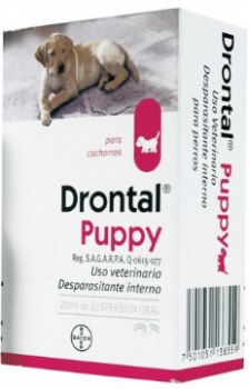 Desparasitantes para Perros