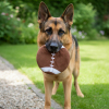 Frisbee para Perros Fútbol Americano