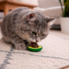 Catnip Juguete para Gatos Aguacate