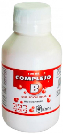 Complejo B Oral – Suplemento Vitamínico Complejo B 120ml