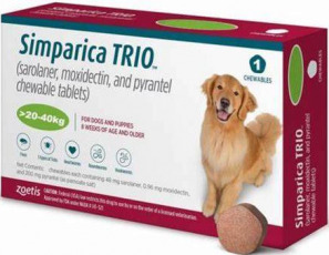 Simparica Trio Perros  - 20kg a 40kg