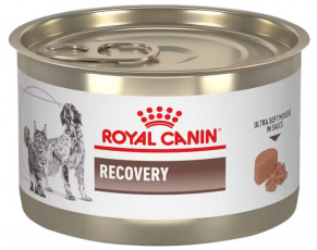 Alimento Húmedo en Lata para Perros Royal Canin Recovery 