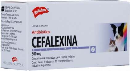 Antibiótico Cefalexina 500 mg para Perros y Gatos