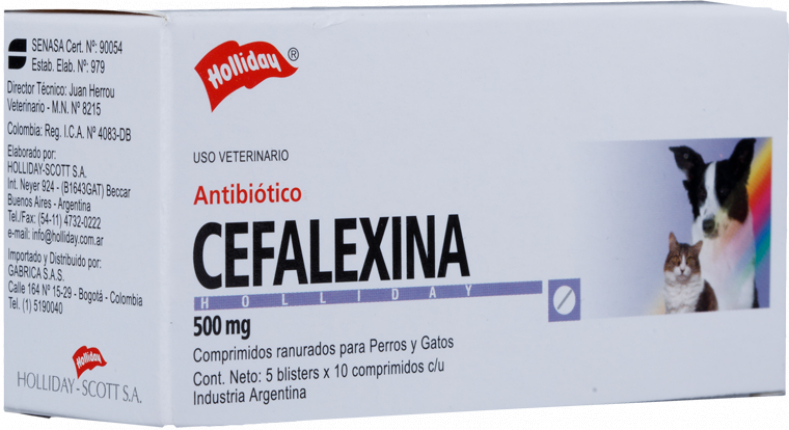Antibiótico Cefalexina 500 mg para Perros y Gatos Cefalexina Antibiótico 500mg 50 Tabletas