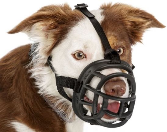 Bozal Baskerville Ultra  Bozal_Baskerville_1_correas_y_arneses_para_perros_depelos
