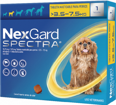 Antipulgas para perros Nexgard Spectra para perros entre 3.5kg y 7.5kg Antipulgas para perros Nexgard Spectra para perros entre 3.5kg y 7.5kg