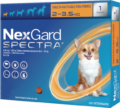 Antipulgas para perros Nexgard Spectra para perros entre 2kg y 3.5kg Antipulgas para perros Nexgard Spectra para perros entre 2kg y 3.5kg