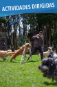 El Bosque Canino: Centro Deportivo Canino Actividades Dirigidas El Bosque Canino: Centro Deportivo Canino