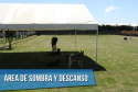 Canfort Guardería canina campestre en Cota - Confort - Zona de Sombra